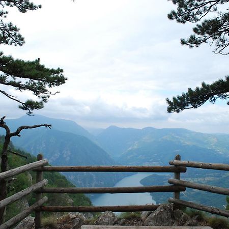 Tarski Dom Zaovine Bagian luar foto