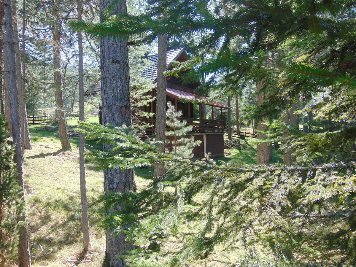 Tarski Dom Zaovine Bagian luar foto