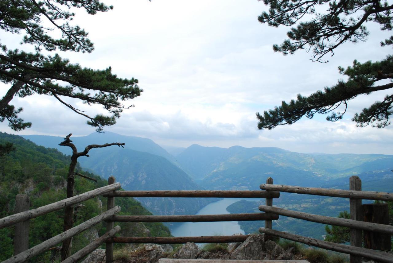 Tarski Dom Zaovine Bagian luar foto