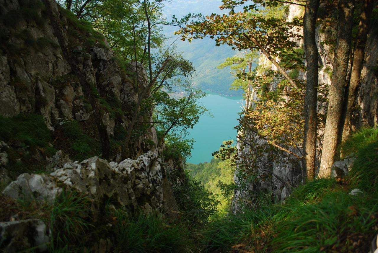 Tarski Dom Zaovine Bagian luar foto
