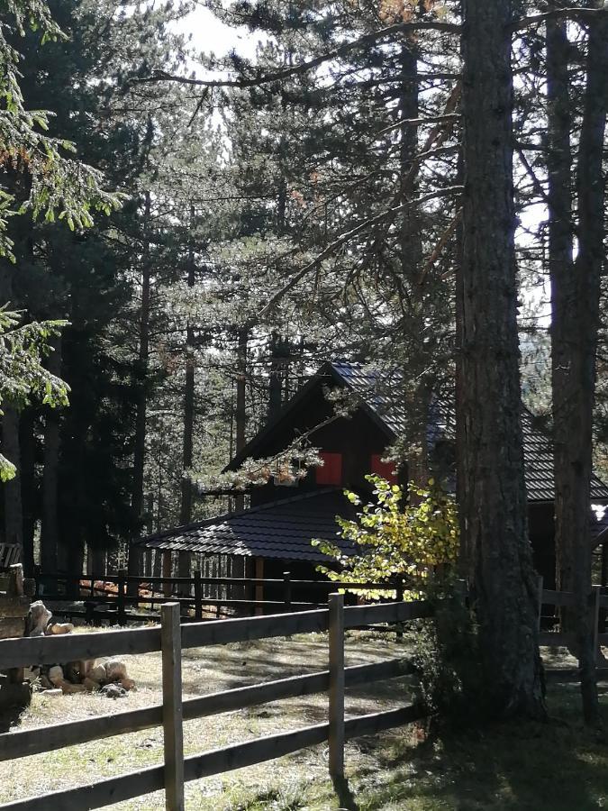 Tarski Dom Zaovine Bagian luar foto