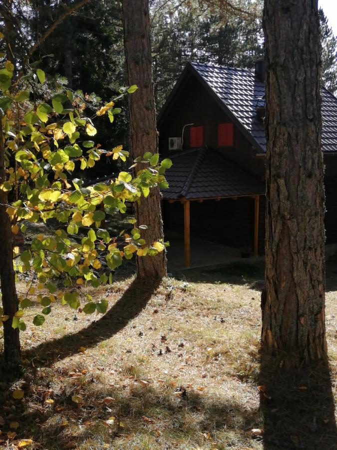 Tarski Dom Zaovine Bagian luar foto